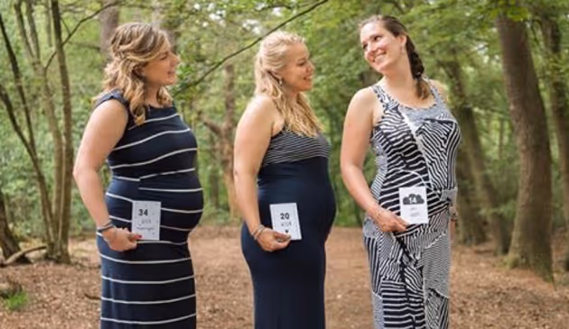 Drie zwangere vrouwen in een bos staan op een rij en houden kaartjes met zwangerschapsweken vast.