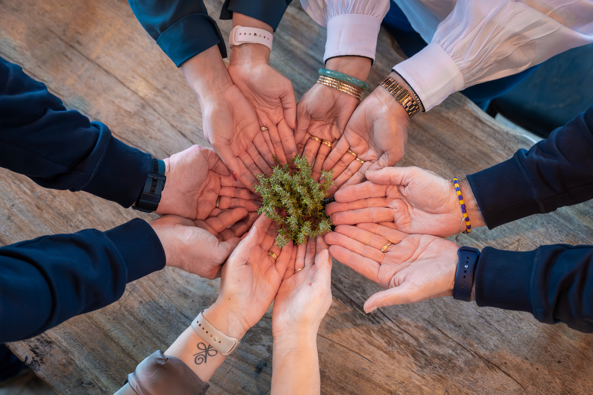 image of a community center project