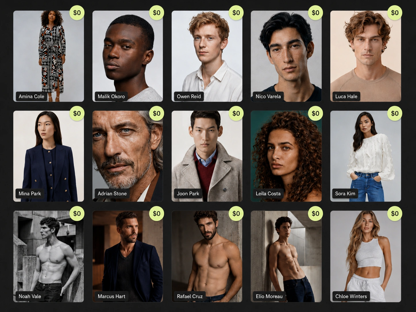 AI model gallery with zero usage-rights cost badges