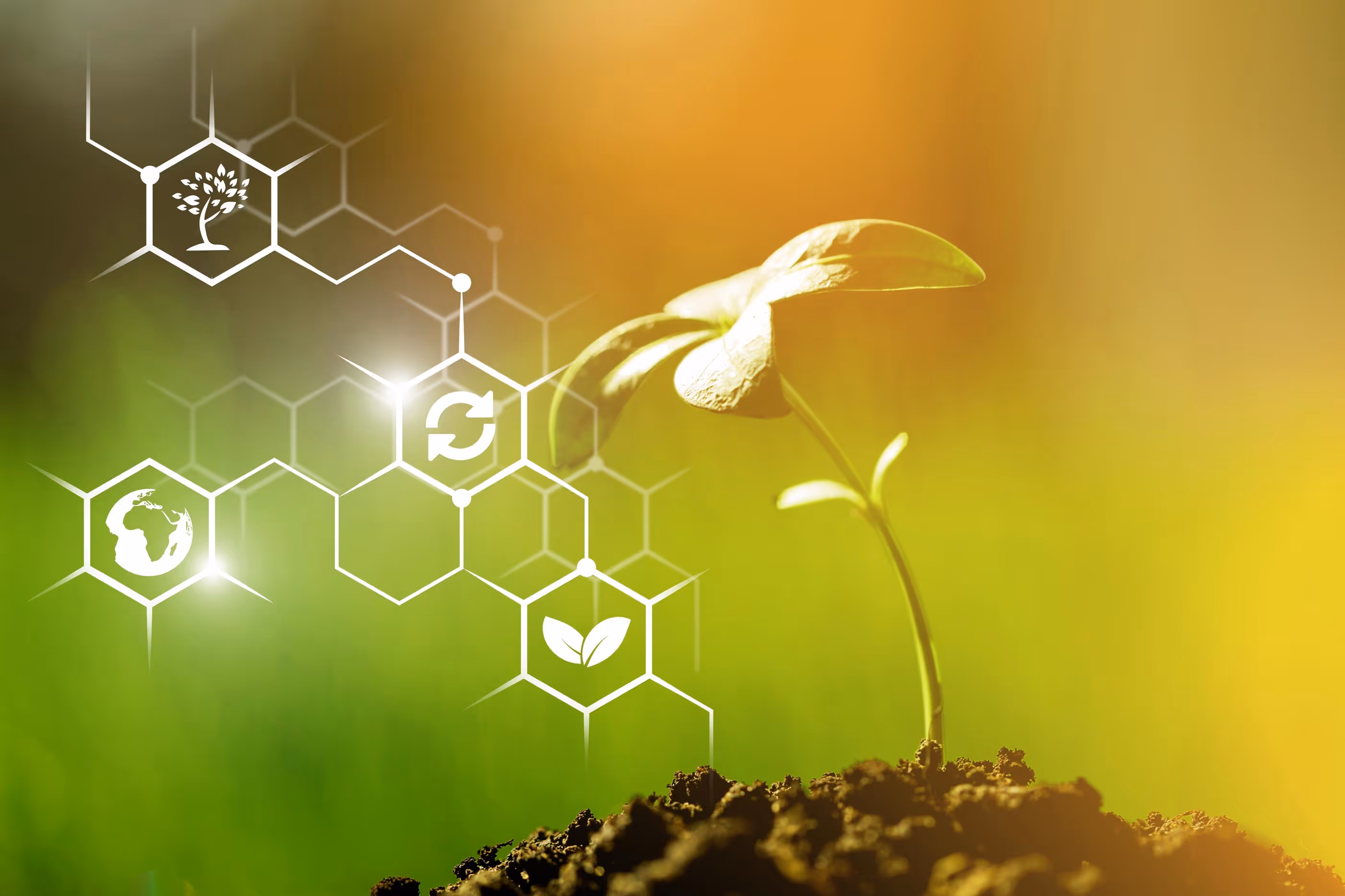 A small plant growing in soil with eco-friendly icons overlayed, symbolizing environmental sustainability.