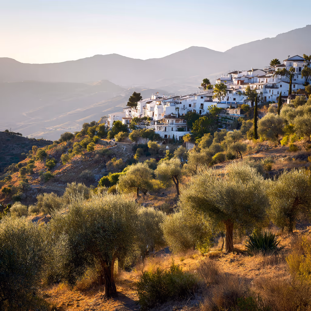 White houses clustered on a hillside surrounded by olive trees and vegetation with mountains in the background at sunset.