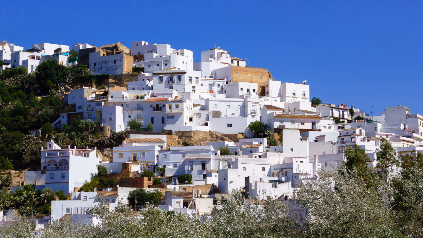 Witte huizen verspreid over een heuvel met groene bomen op de voorgrond en een heldere blauwe lucht.