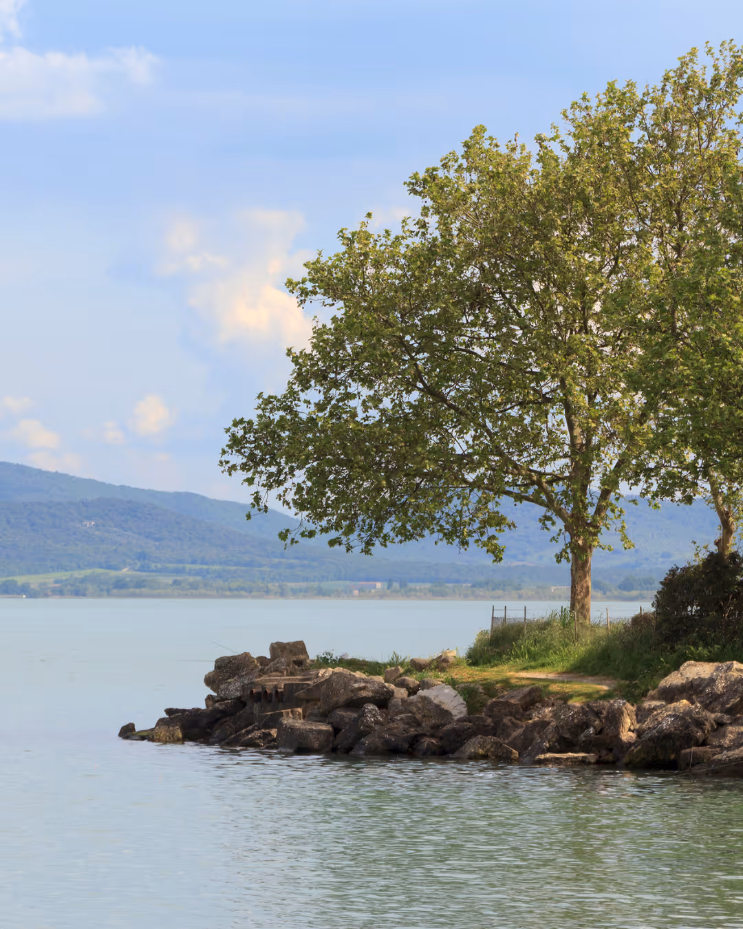 Rotsachtige oever met groene bomen en kalm meer, op de achtergrond heuvels onder een blauwe lucht.
