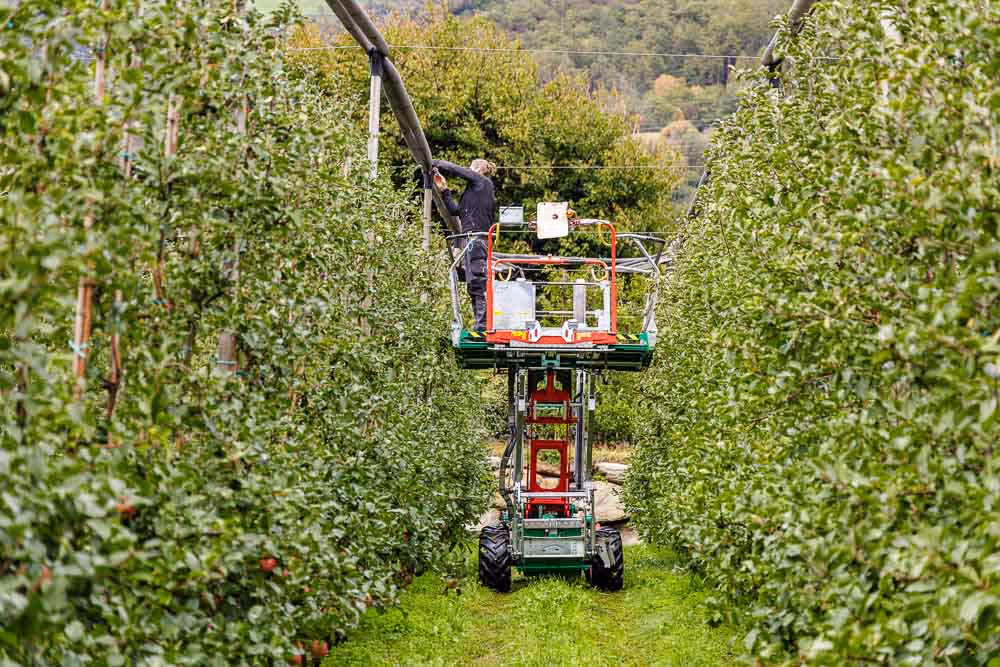 KNECHT Hebebühne und Erntemaschine im Einsatz