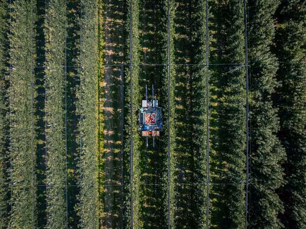 KNECHT Hebebühne und Erntemaschine im Einsatz