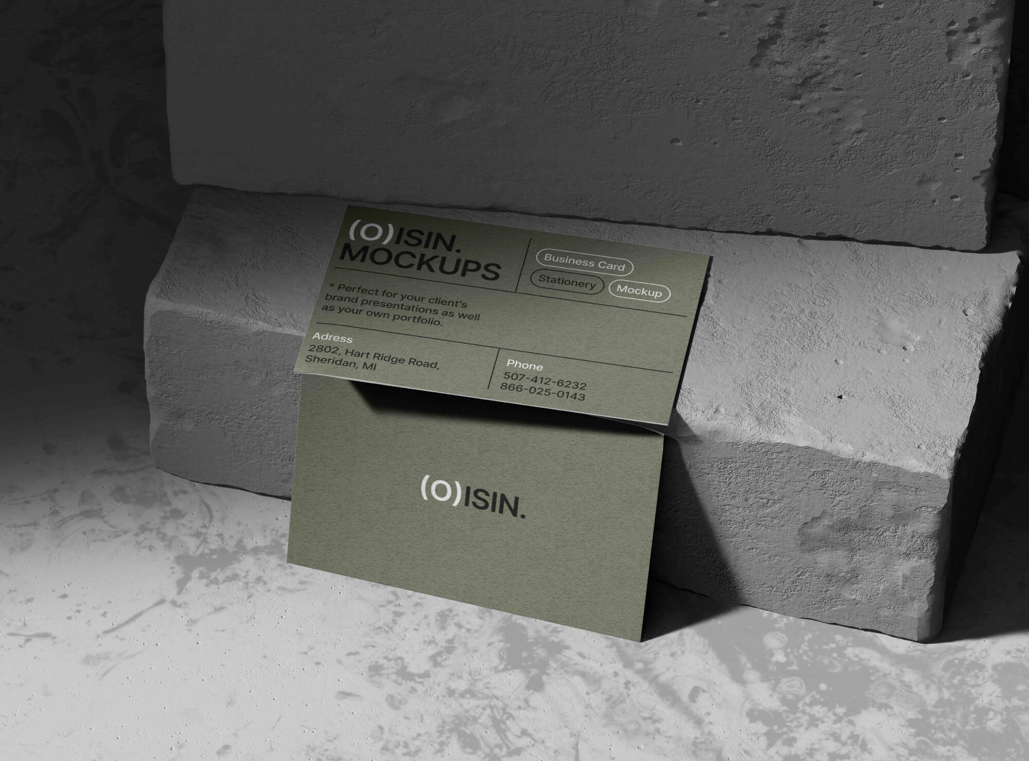 Rooted in connection, we shaped a brand that reflects vibrancy, openness, and everyday rhythm.