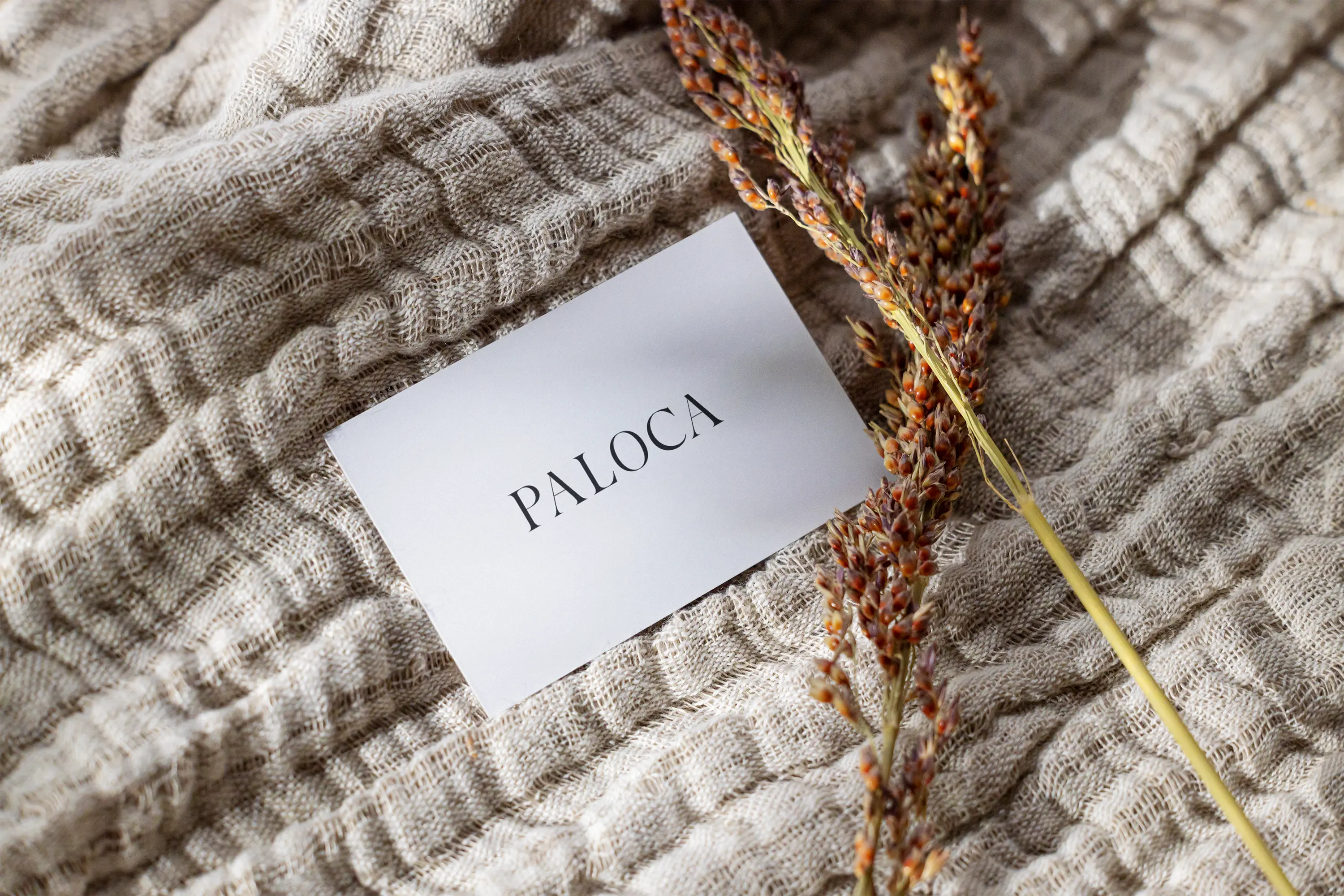 Identité de marque et e-commerce pensés autour de la matière, de la simplicité et de l’usage.