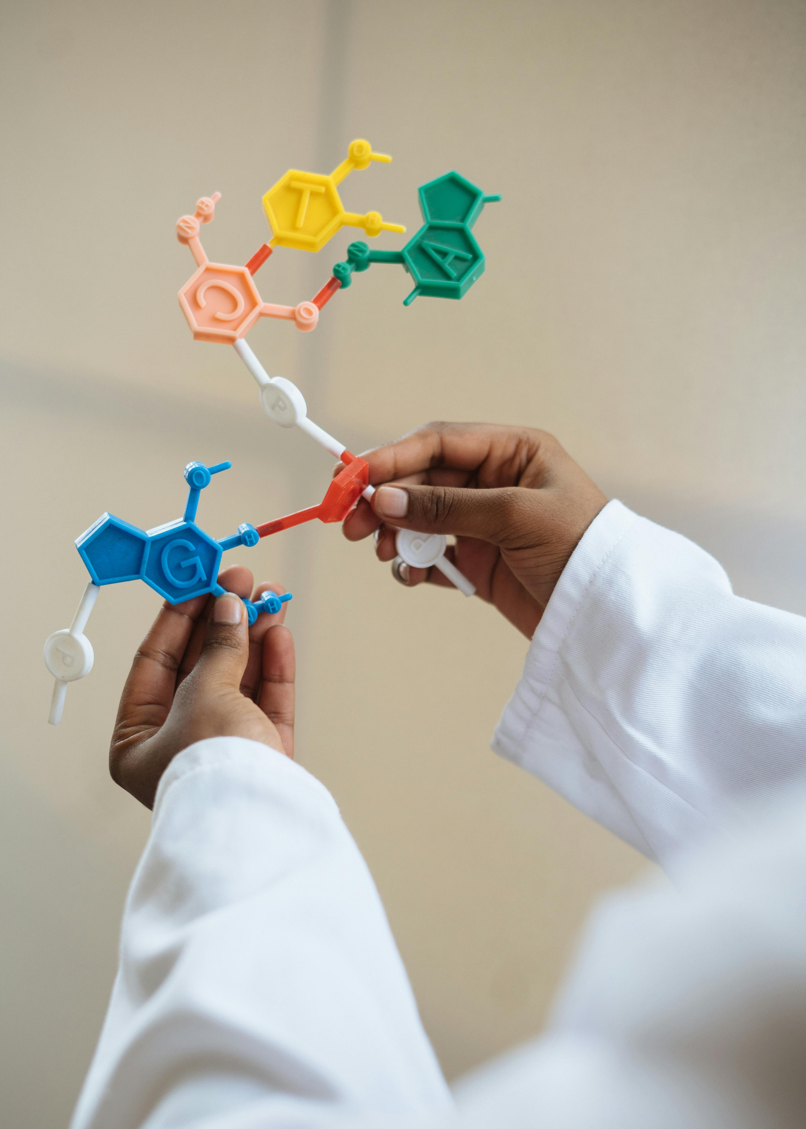 Person wearing a white lab coat holding a colorful DNA molecular model with blue, green, yellow, and pink components.