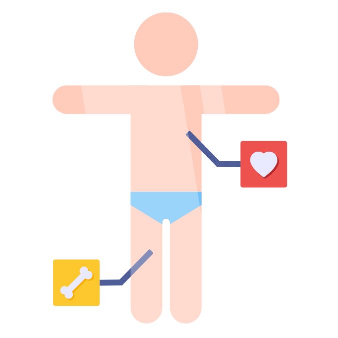 Organ Transplant image