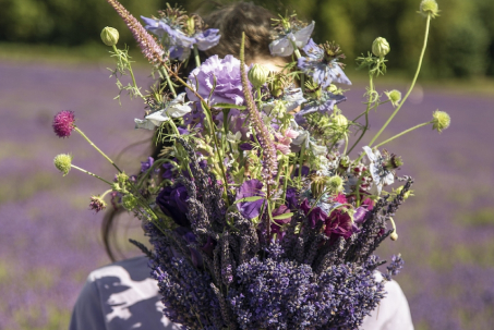 image of an office collaboration scene (for a mobility and transportation)