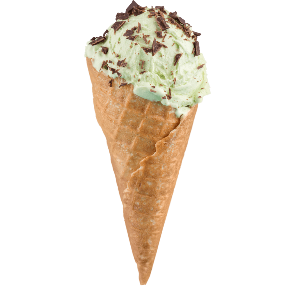 mint chocolate ice cream
