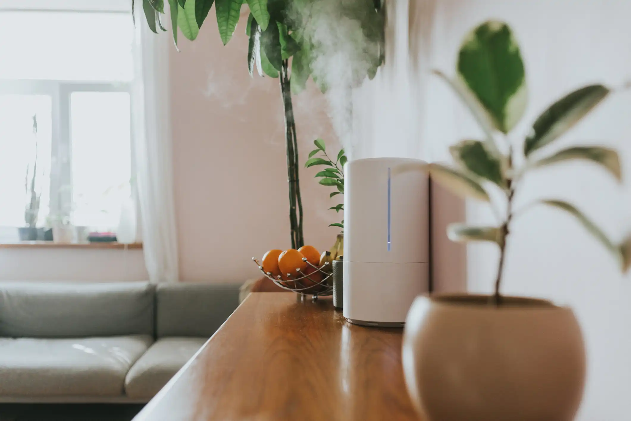 White humidifier emitting steam on a wooden surface with indoor plants and fruit bowl in a cozy living room.
