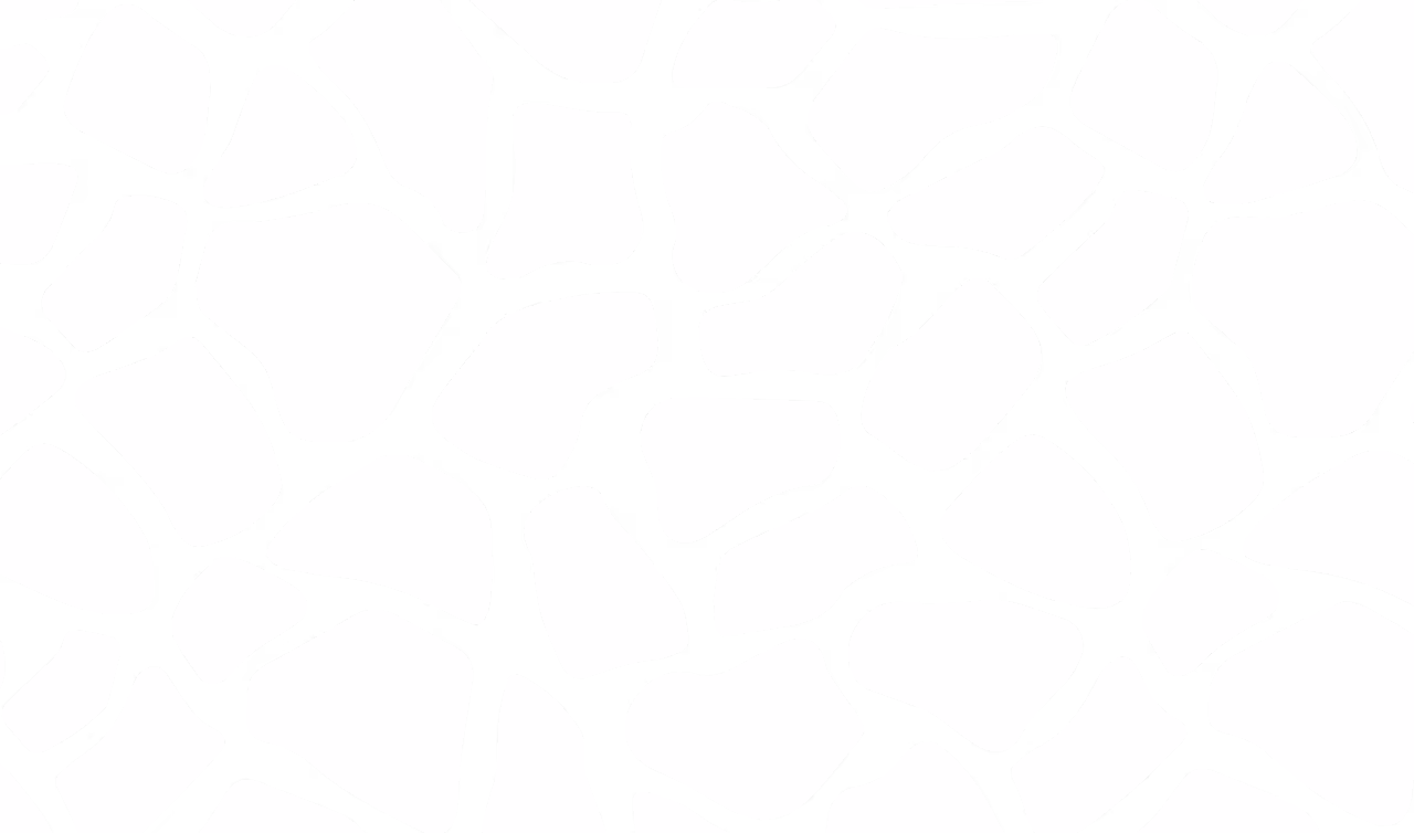 Abstract black and white irregular mosaic pattern with thick black lines forming organic shapes.