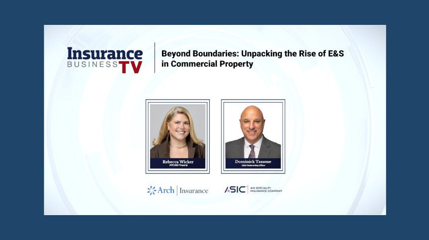 AM Specialty and Arch Re discuss  E&S property market trends