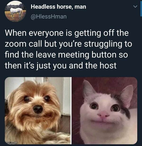 when everyone is getting off the zoom call but you're struggling to find the leave meeting button so then it's just you and the host meme