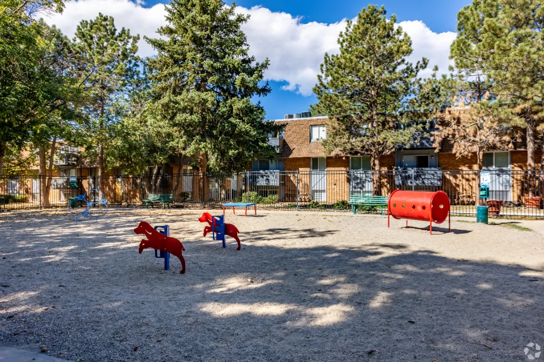 playground with slide