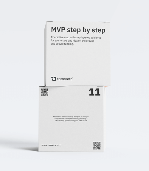 Two stacked white product boxes showing 'MVP step by step' guide by Tesserato, featuring step-by-step interactive map and QR codes.