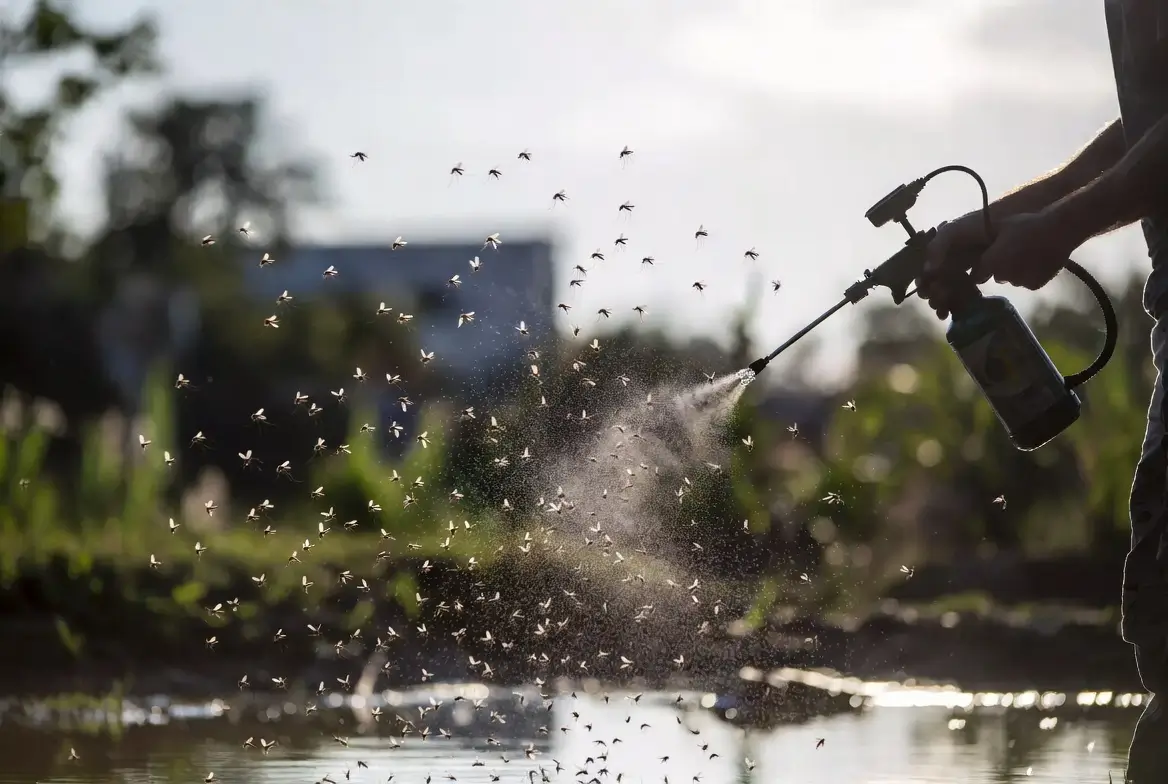 debarasser-moustiques-exterieur