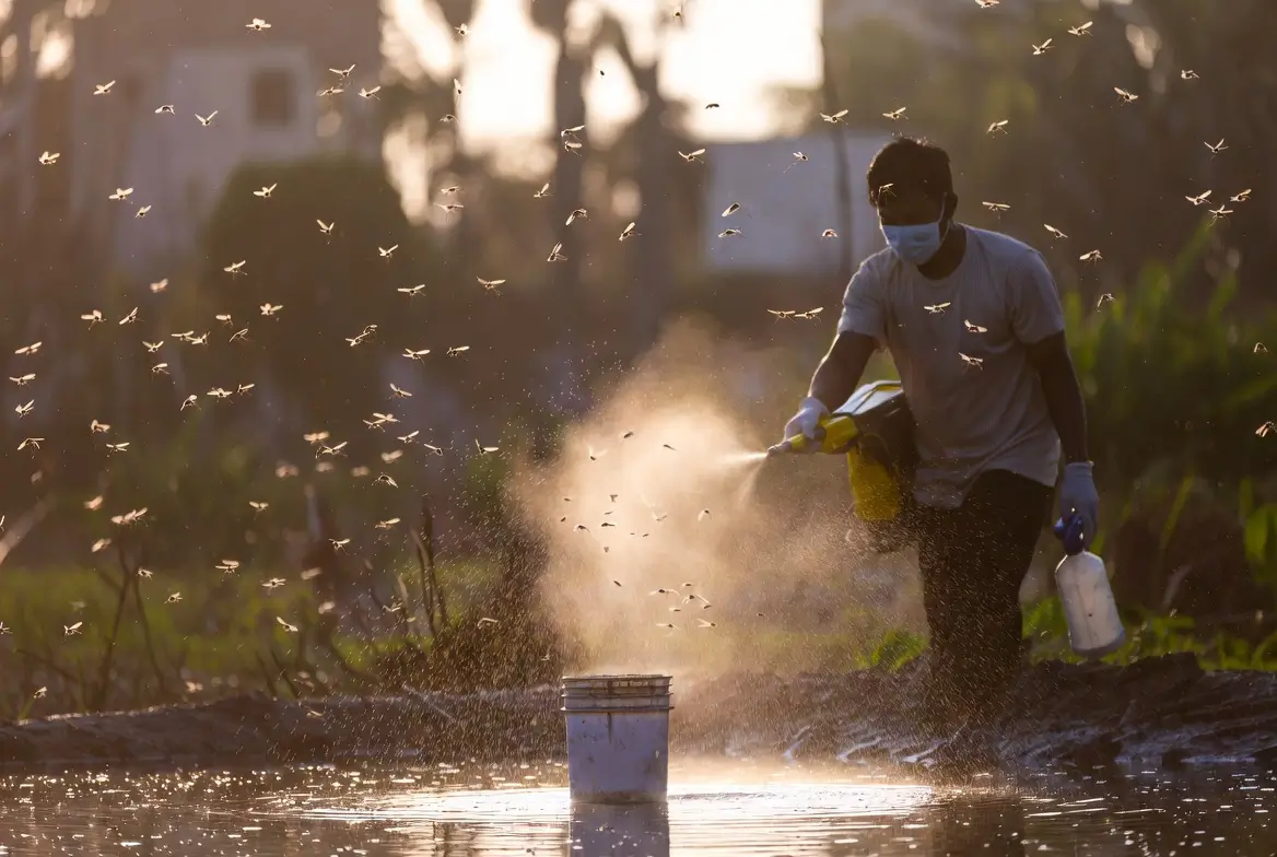 un homme qui procède à une élimination d'invasion de moustiques