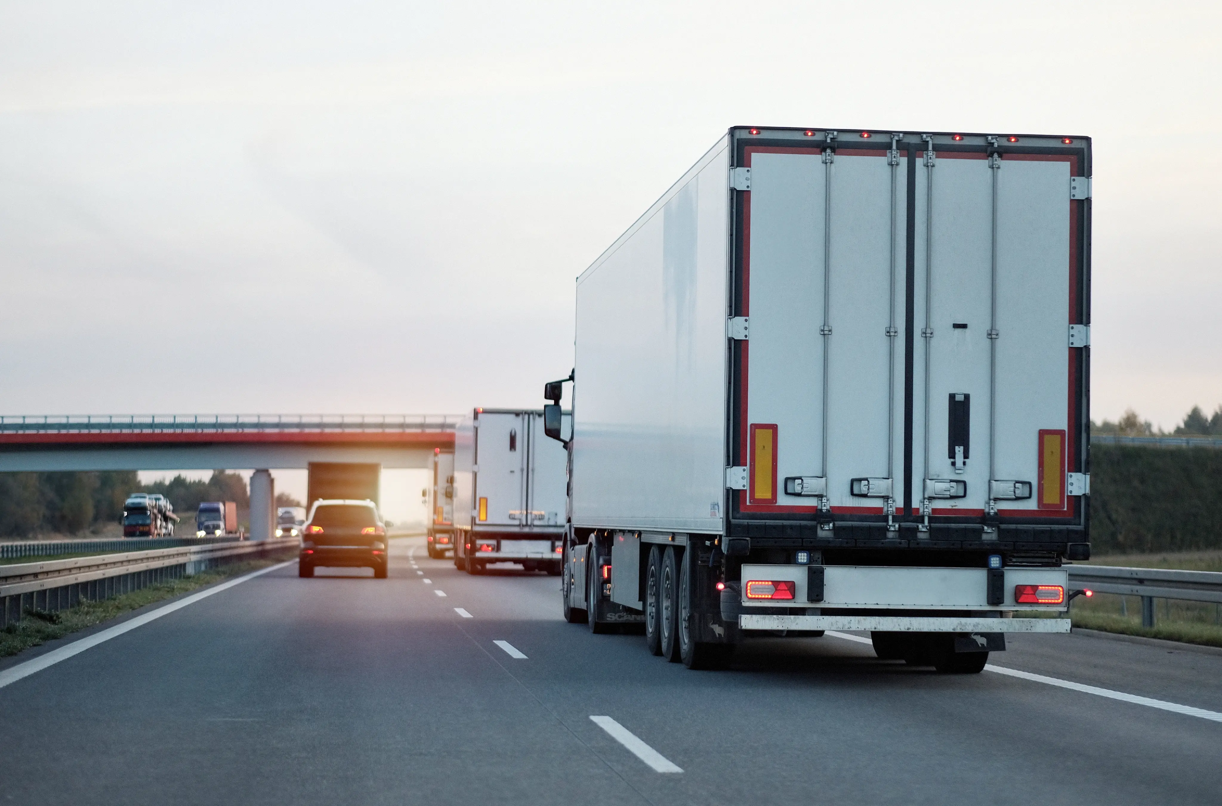 Logistics & Distribution