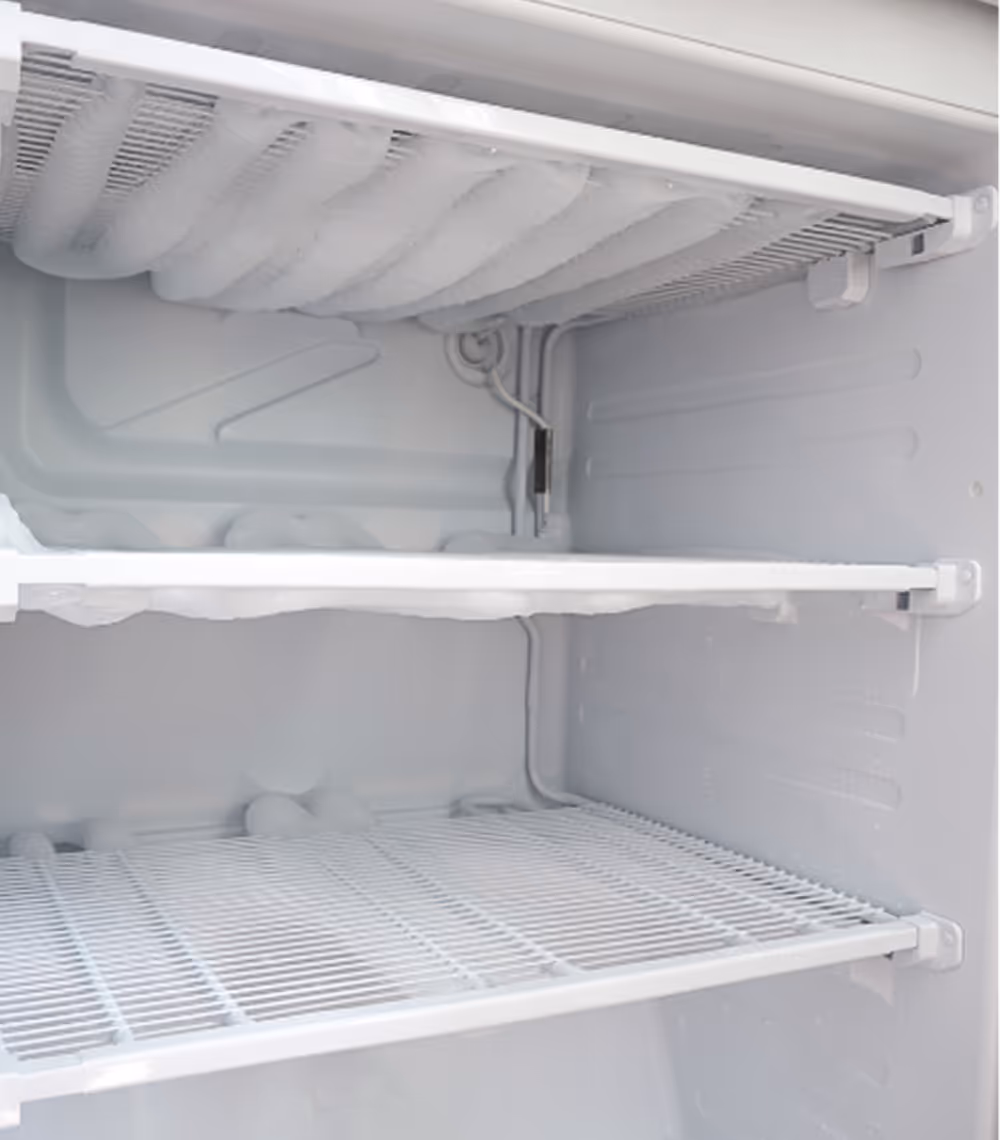 Freezer interior with frost buildup on shelves and evaporator coils.