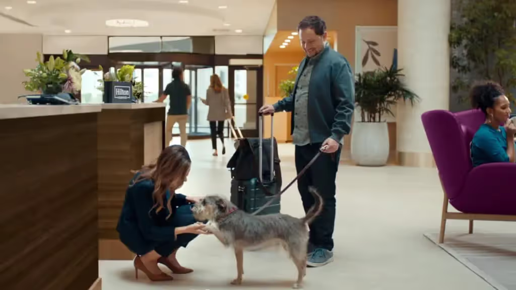 5,000+ pet-friendly properties