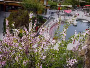 Things to do in Pocatello - Lava Hot Springs