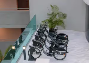 Rental bikes lined up outside of a building