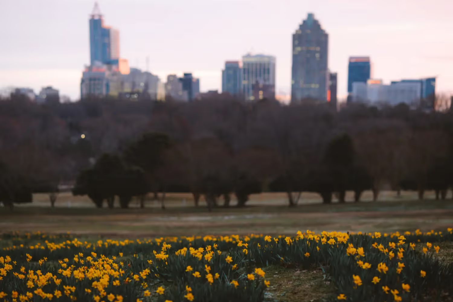 Raleigh