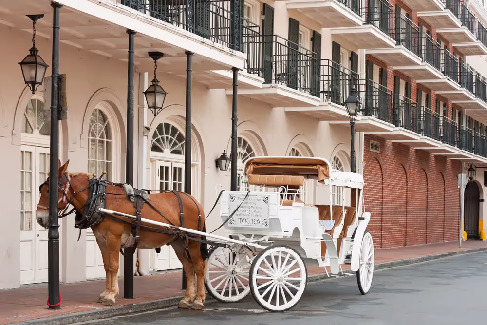 Bourbon Orleans Hotels