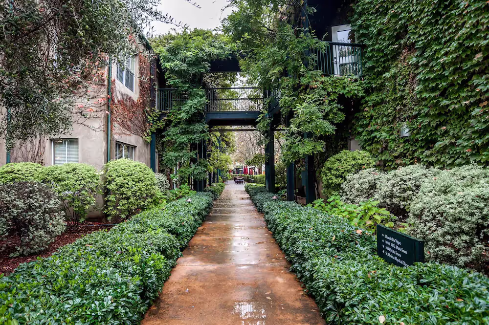 A walkway with plants and a walkwayDescription automatically generated with medium confidence