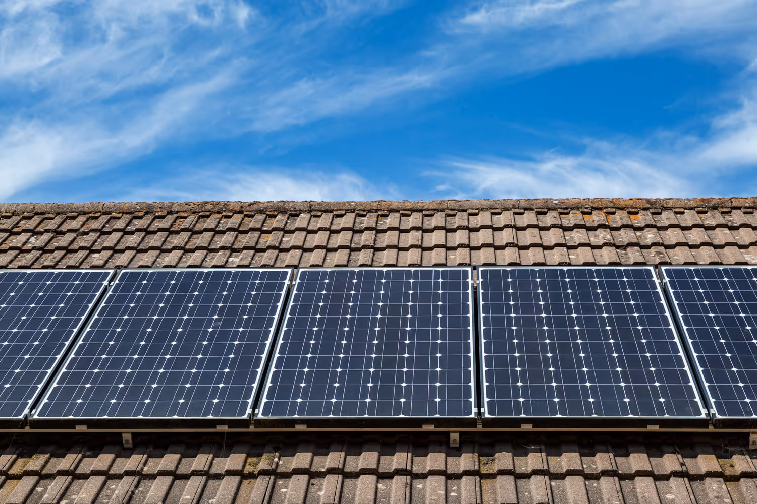 bird mesh installation over solar panel 