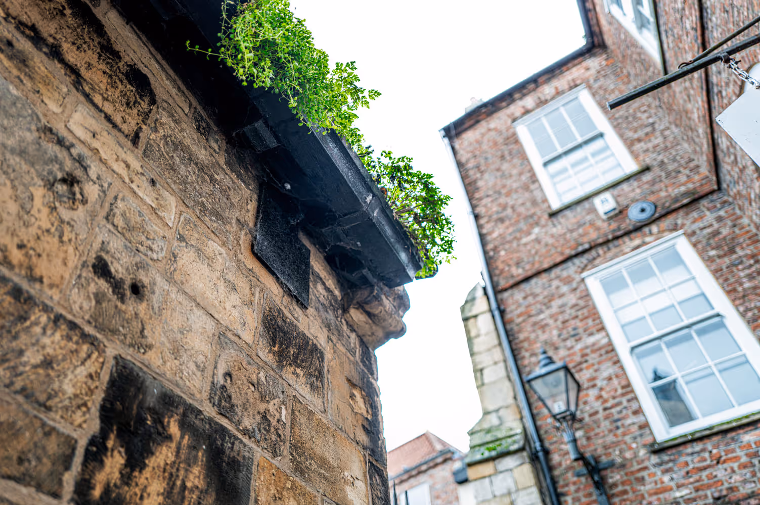 gutter dirty needing cleaning in shropshire with the use of cherry picker.