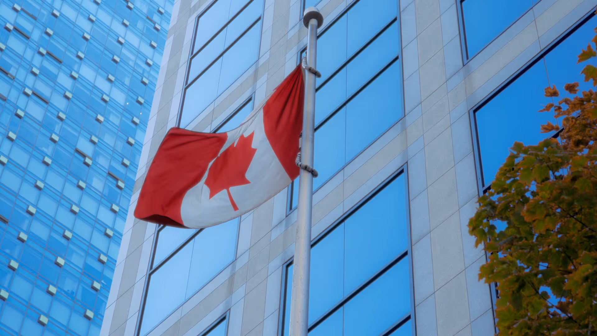 Canadian flag flying on a pole in front of modern glass office buildings with a tree with autumn leaves nearby.
