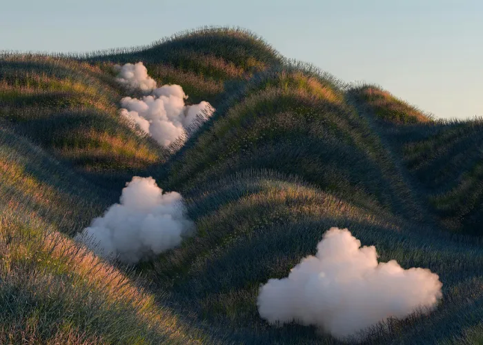 Wedge marketing project showcase image twenty