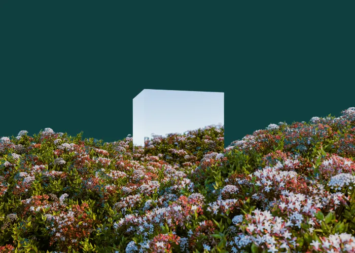 Glass cube nestled in colorful wildflowers against teal background