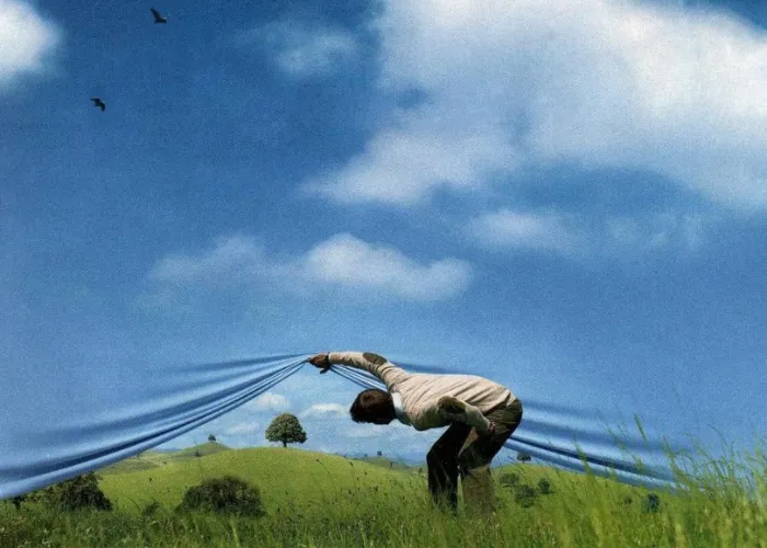 Minimalist green terrain with delicate white flower clusters