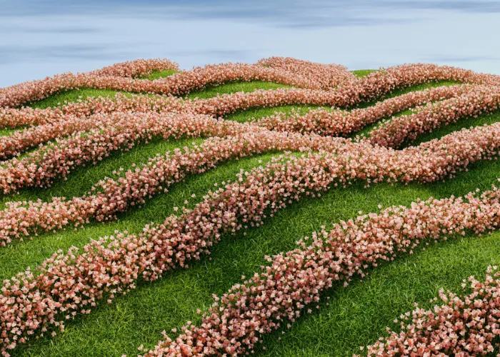 Soft green landscape with purple flower meadow