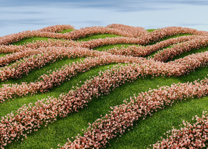 Abstract 3D landscape with organic flowing green forms