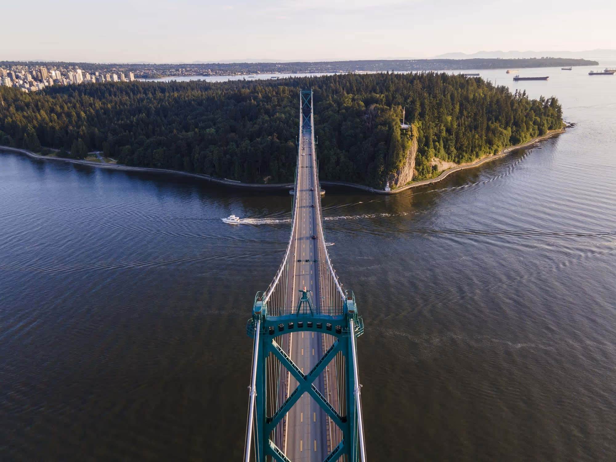 Aerial view of a suspension bridge crossing over water toward a forested peninsula with boats in the water nearby.