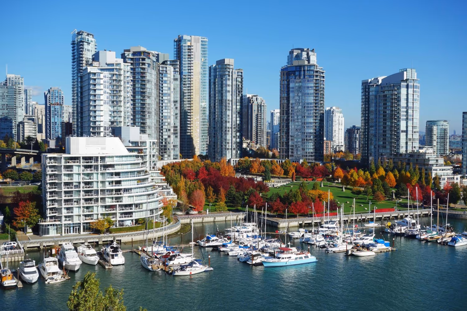 Marina with sailboats and yachts docked in front of a cityscape with high-rise buildings and trees showing autumn colors under a clear blue sky.