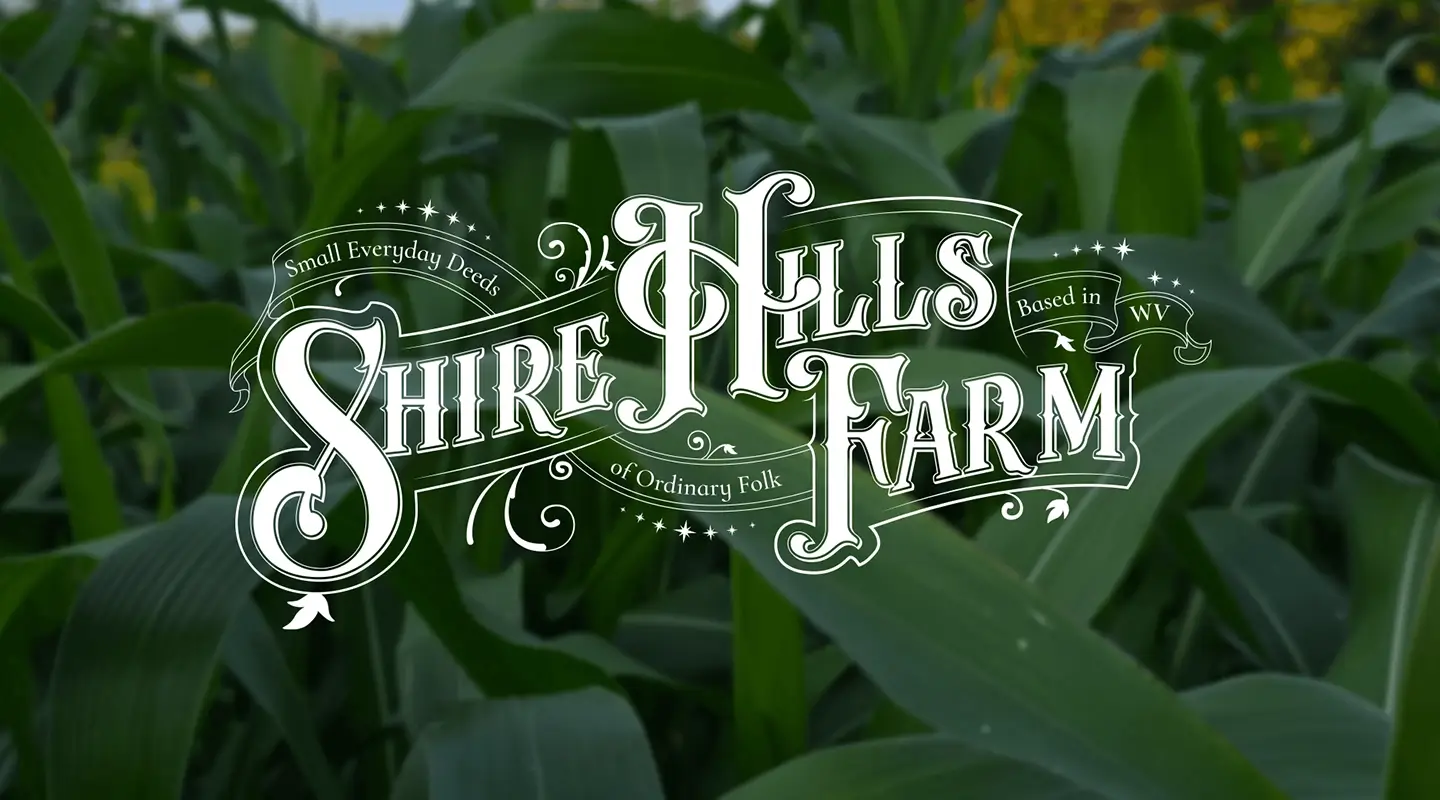 Banzai logo with slogan Discover Your Next Career-Changing Experience, collage of black and white photos of diverse people, and event marketing resources with colorful icons.