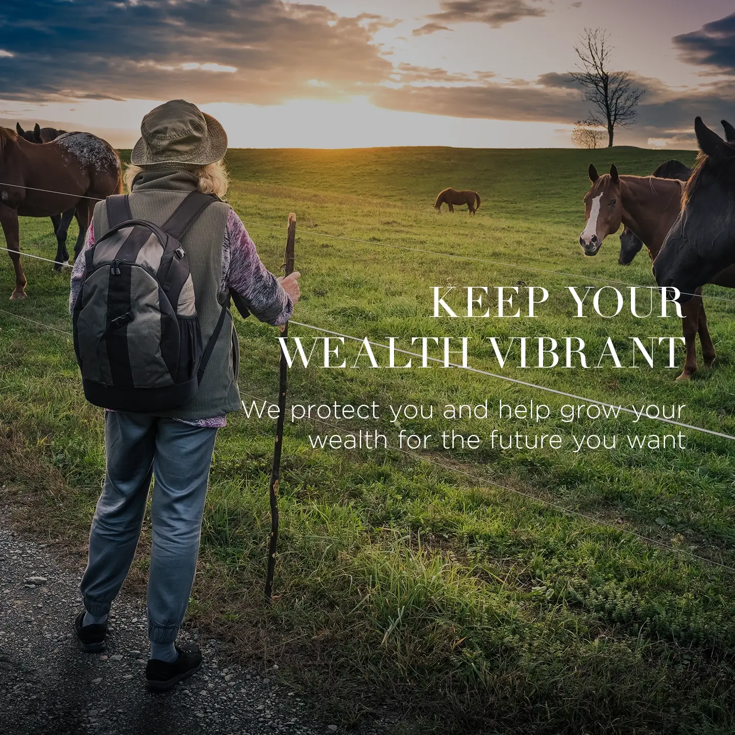 Loaves of bread in proofing baskets on shelves with overlay text est. 1896 SPRINGS GENERAL STORE.