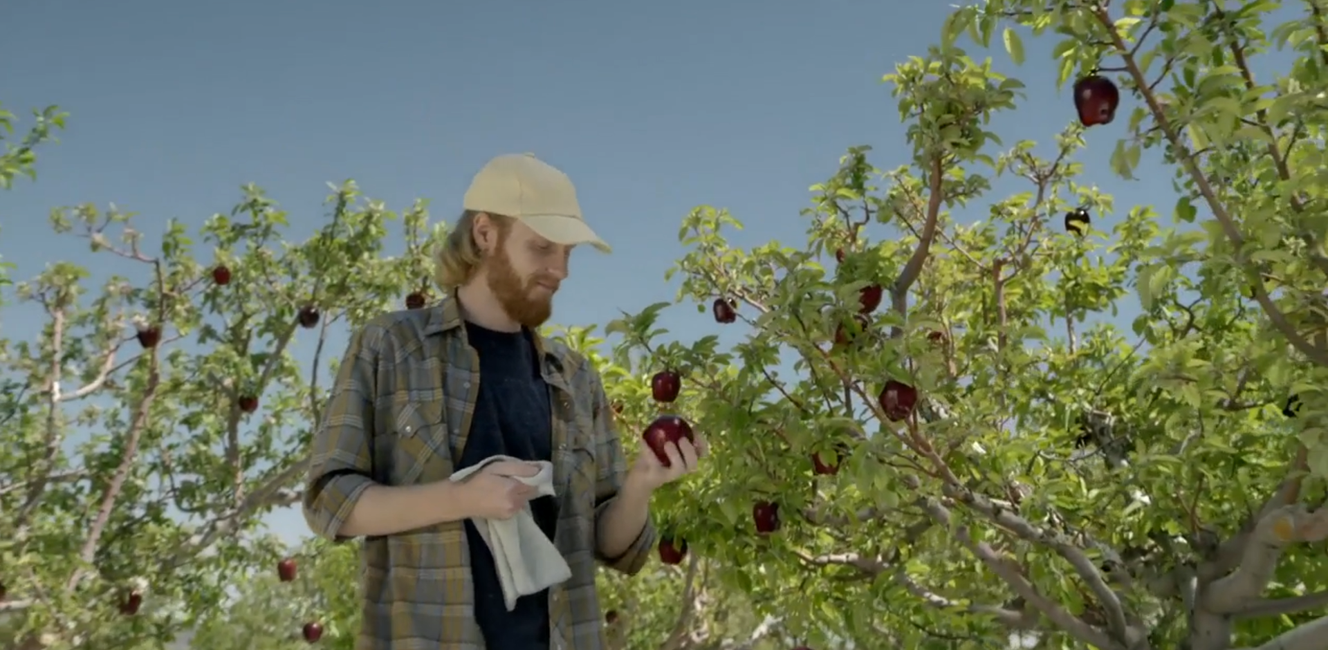 Nature Conservancy 'Home'