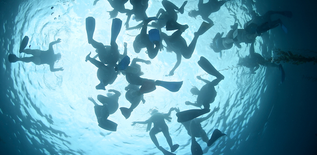 Between Two Harbors: We Are Ocean