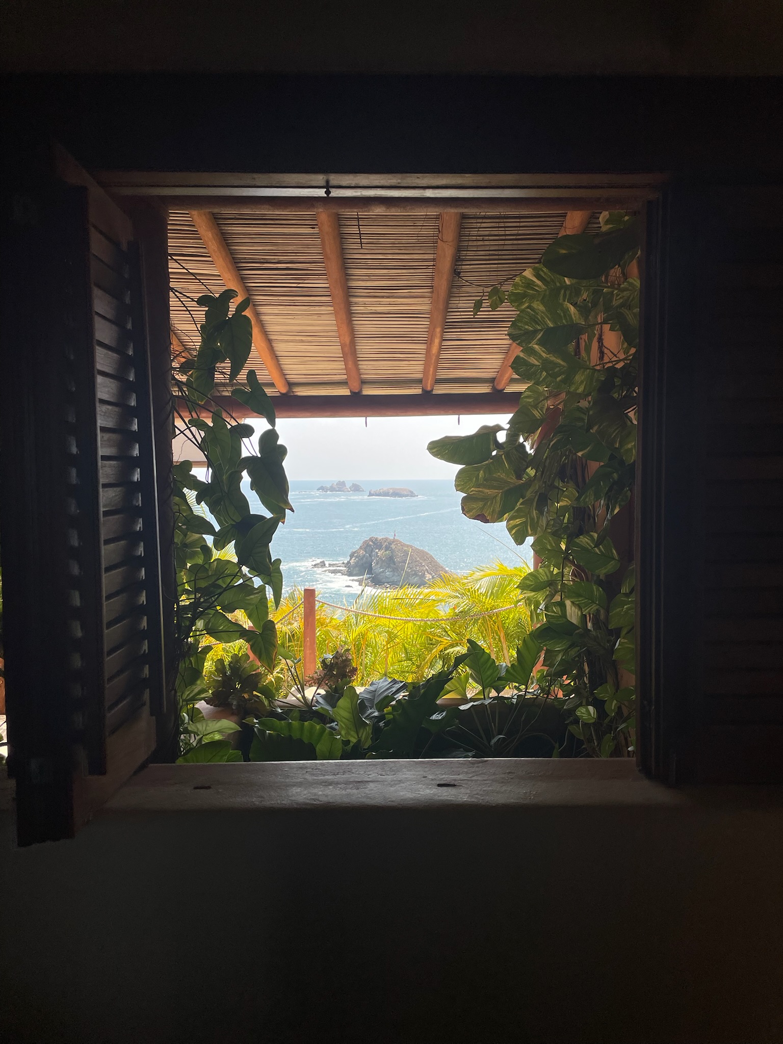 View from Serena Suite Shower