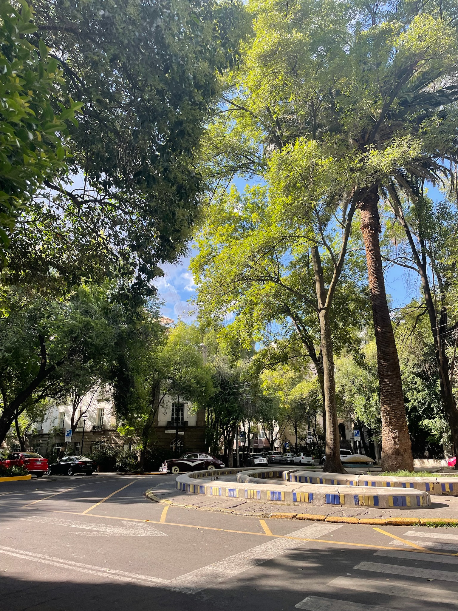 Explore Mexico City Neighborhoods