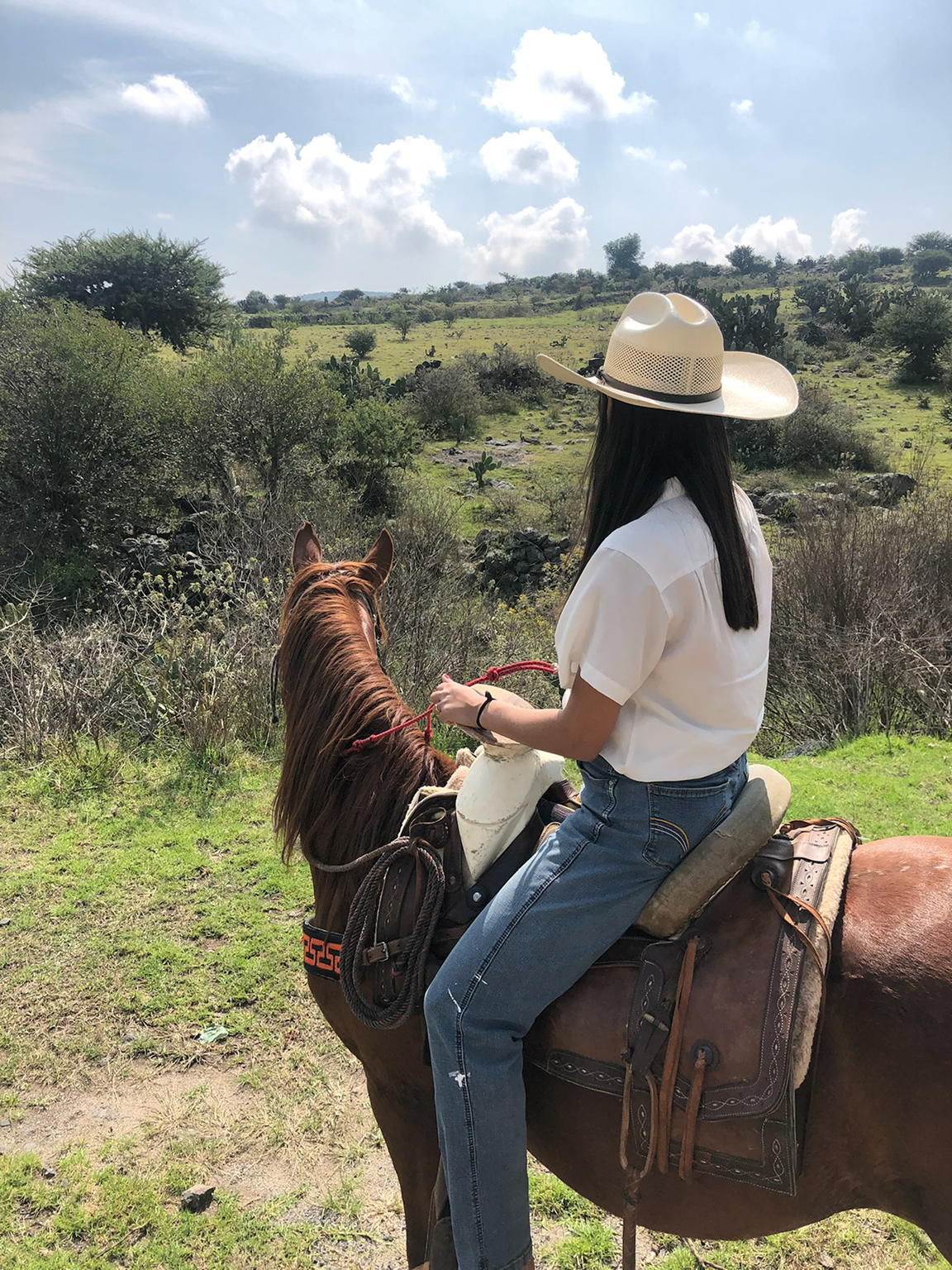 scenic ride of the countryside