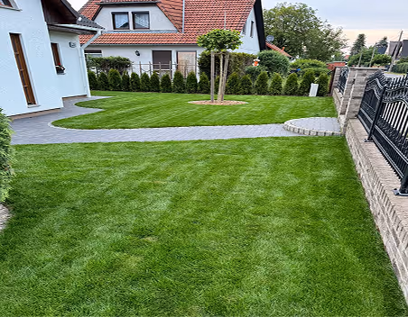 Gut gepflegter Garten mit grünem Rasen, gepflastertem Gehweg und einem Baum in einem Wohngebiet.