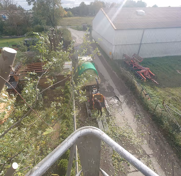 Blick von oben auf einen Arbeiter, der Baumzweige auf einem Anhänger neben einem ländlichen Gebäude mit landwirtschaftlichen Geräten bearbeitet.
